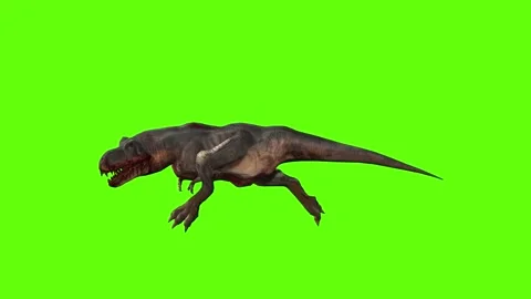T-rex dinosaur momma chase head butt left green screen animation 3D rendering Video stock 280433380
