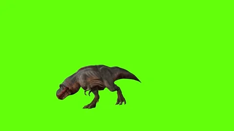 T-rex dinosaur momma chase roar right green screen animation 3D rendering Stock Footage 280433403