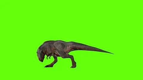 T-rex dinosaur momma chase roar left green screen animation 3D rendering Video stock 280433511