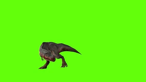 T-rex dinosaur momma chase roar left green screen animation 3D rendering Video stock 280433532