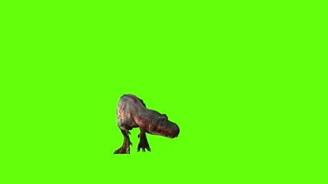 T-rex dinosaur momma chase roar left gre... | Stock Video | Pond5