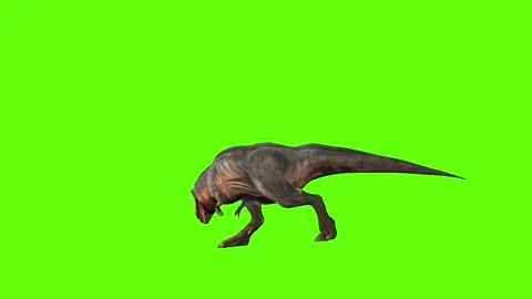 T-rex dinosaur momma chase roar right green screen animation 3D rendering Stock Footage 280433548