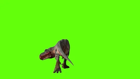 T-rex dinosaur momma chase roar left gre... | Stock Video | Pond5