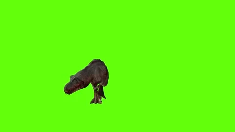 T-rex dinosaur momma chase roar right green screen animation 3D rendering Stock Footage 280433621