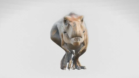 The T-Rex dinosaur runs in a looping seamless animation. Reptile on isolated Stock Footage 146973810