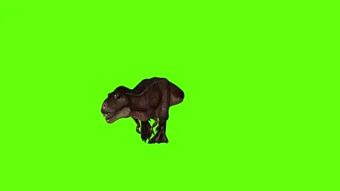 T-rex dinosaur walk green screen animation 3D rendering Stock Footage 280647407