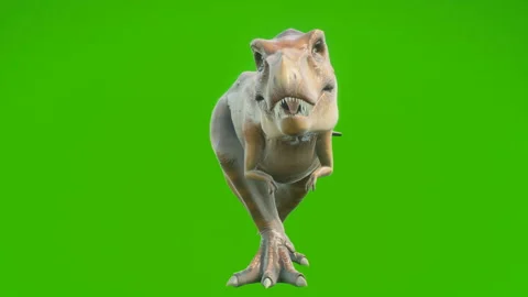 T-Rex Dinosaur walks in a looping seamless animation. Reptile in front of green Stock Footage 147073554