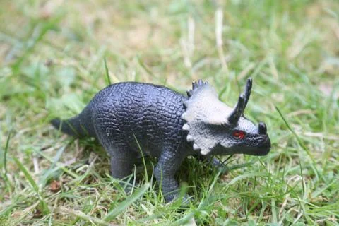 T REX Dinosaurs model on grass background Foto stock