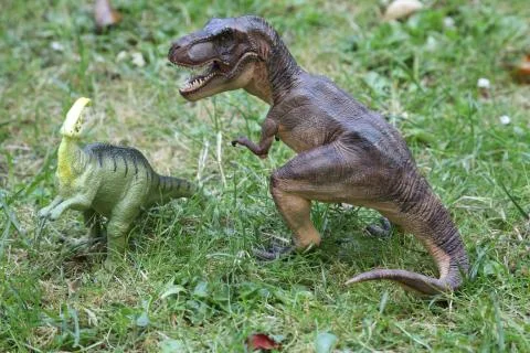 T REX Dinosaurs model on grass background Foto stock