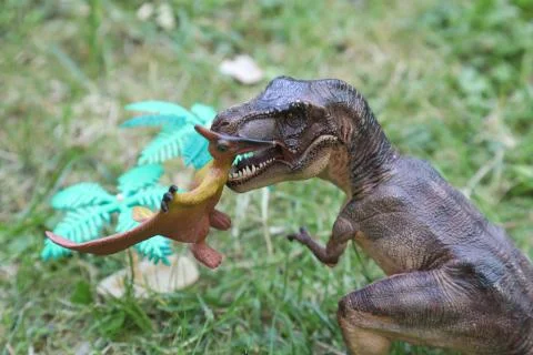 T REX Dinosaurs model on grass background Stock Photos
