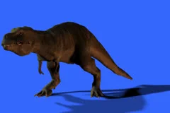 Oviraptor Dinosaurs Run Cycle Green Scre, Stock Video