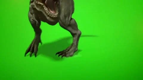 T-Rex Full HD Green screen Stock Footage 205082819