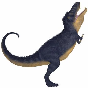 T-rex giant Stock Illustration