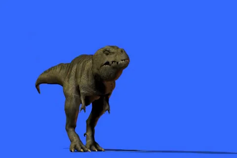 T-Rex Growling and walks Stock Footage 24700587