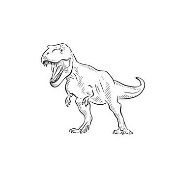 T Rex illustration Stock Illustration