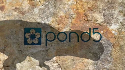 T-REX Logo Reveal Stock After Effects