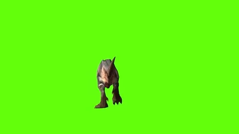 T-rex momma  dinosaur climb up green screen animation 3D rendering Stock Footage 280433713