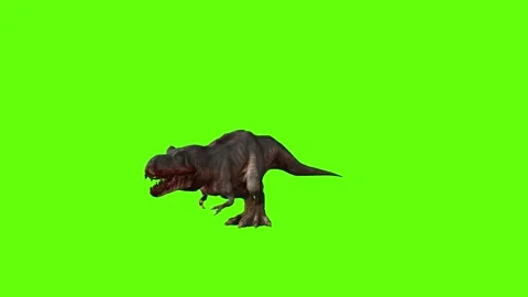 T-rex momma dinosaur death green screen animation 3D rendering Stock Footage 280433721