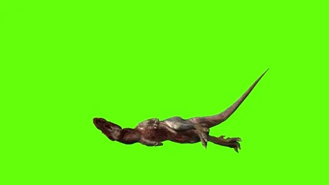 T-rex momma dinosaur death short green screen animation 3D rendering Stock Footage 280433761