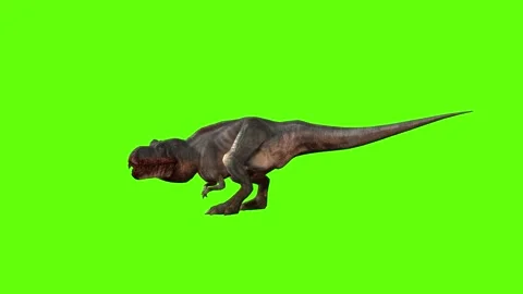 T-rex momma dinosaur head hit green screen animation 3D rendering Stock Footage 280433789