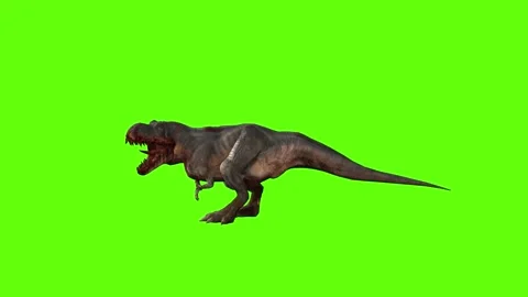 T-rex momma dinosaur head hit green screen animation 3D rendering Stock Footage 280644785