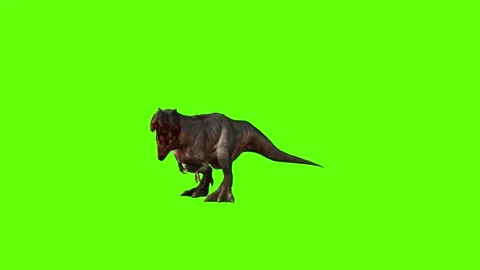 T-rex momma dinosaur head hit green screen animation 3D rendering Stock Footage 280644815