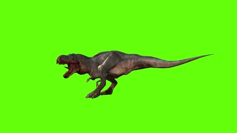 T-rex momma dinosaur head hit green screen animation 3D rendering Stock Footage 280645380