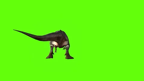 T-rex momma dinosaur head hit green screen animation 3D rendering Stock Footage 280645584