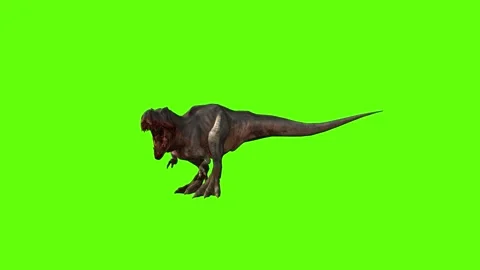 T-rex momma dinosaur head hit green screen animation 3D rendering Stock Footage 280646267