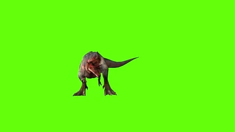 T-rex momma dinosaur head hit green screen animation 3D rendering Stock Footage 280646418