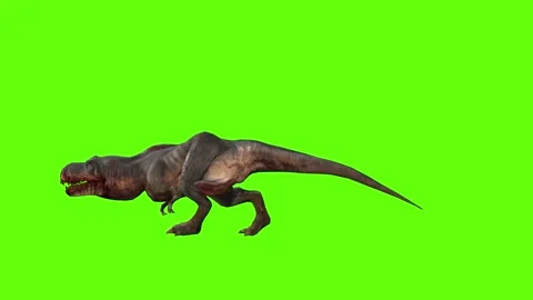 T-rex momma dinosaur hit leg move green screen animation 3D rendering Stock Footage 280645718