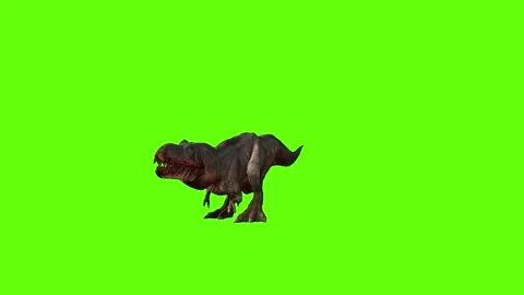 T-rex momma dinosaur  hit torso right green screen animation 3D rendering Stock Footage 280646684
