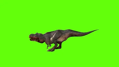 T-rex momma dinosaur hit torso right green screen animation 3D rendering Stock Footage 280646754