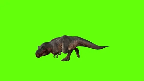 T-rex momma dinosaur human shake green screen animation 3D rendering Stock Footage 280647153
