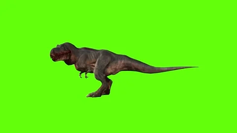 T-rex momma dinosaur idle investigation loop green screen animation 3D  Stock Footage 280932695