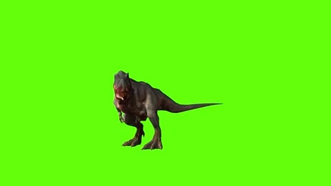 T-rex momma dinosaur idle investigiation loop green screen animation 3D  Stock Footage 280932701