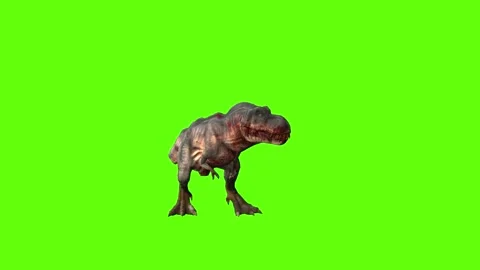 T-rex momma dinosaur idle investigation loop green screen animation 3D  Stock Footage 280932703