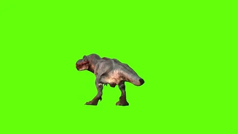 T-rex momma dinosaur idle investigation loop green screen animation 3D  Stock Footage 280932707