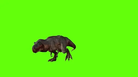 T-rex momma dinosaur idle run green screen animation 3D rendering Stock Footage 280932712
