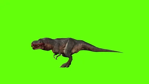 T-rex momma dinosaur idle investigate out green screen animation 3D render Stock Footage 280932713