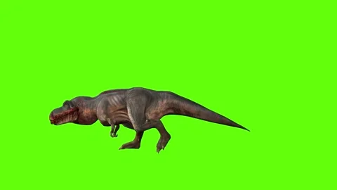 T-rex momma dinosaur idle run green screen animation 3D rendering Stock Footage 280932718