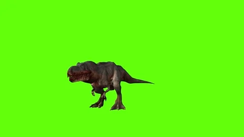 T-rex momma dinosaur idle investigate out green screen animation 3D render Stock Footage 280932722