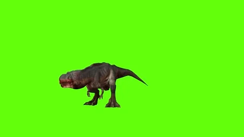 T-rex momma dinosaur look right green screen animation 3D rendering Stock Footage 280932753