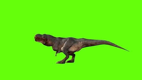 T-rex momma dinosaur look forward green screen animation 3D rendering Stock Footage 280932774