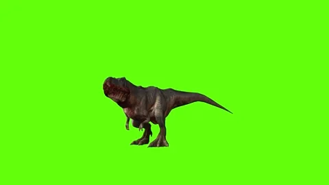 T-rex momma dinosaur look forward green screen animation 3D rendering Stock Footage 280932781