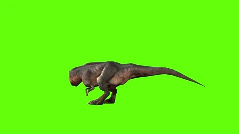 T-rex momma dinosaur look right green screen animation 3D rendering Stock Footage 280932812