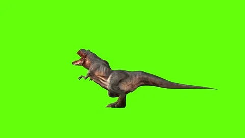 T-rex momma dinosaur raptor kill stand still green screen animation 3D r Stock Footage 280932950