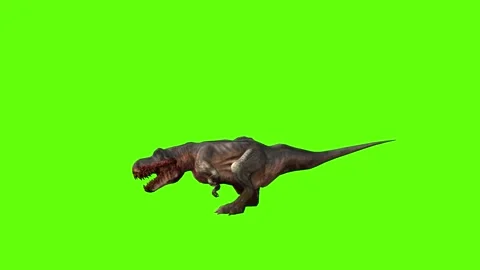 T-rex momma dinosaur raptor kill long green screen animation 3D renderin Stock Footage 280932967