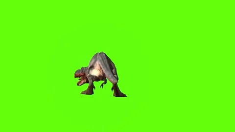 T-rex momma dinosaur roar left green screen animation 3D rendering Stock Footage 280932879