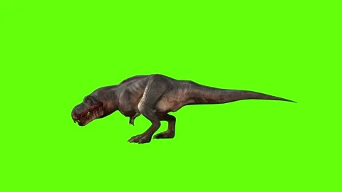 T-rex momma dinosaur roar green screen animation 3D rendering Stock Footage 280933022